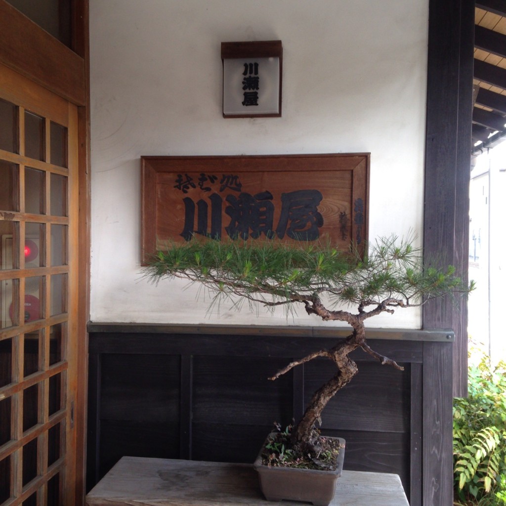 佐倉市にある創業186年老舗蕎麦屋『川瀬屋』さんに行ってきました