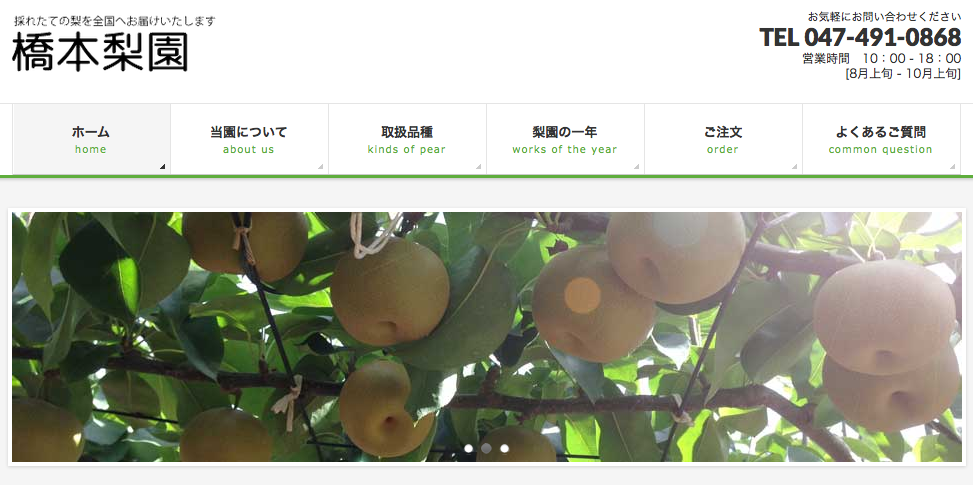 本一美味しい白井の梨を産地直送で買えるサイト