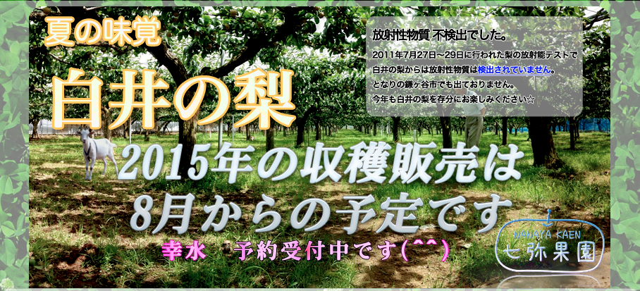 日本一美味しい白井の梨を産地直送で買えるサイト