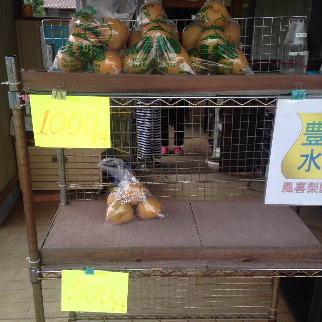 希少価値の高い梨であるかおりを産地直送で販売している『風喜梨園』に行ってきました！